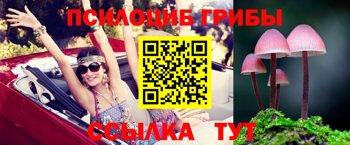 Кандалакша  Галлюциногенные грибы MAGIC MUSHROOMS  Вход с VPN 
